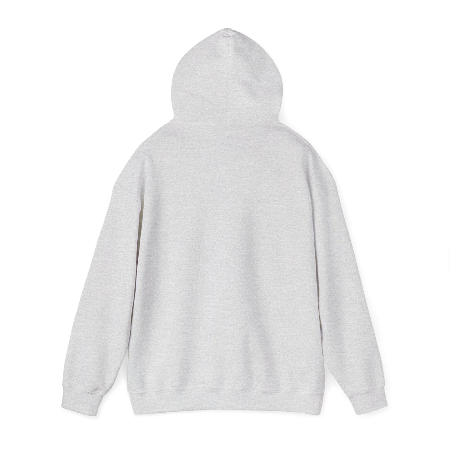 Soccer Humor Hoodie | Kick the Dang Ball Sweatshirt | Unisex Casual Wear for Sports Fans, Gifts for Soccer Lovers
