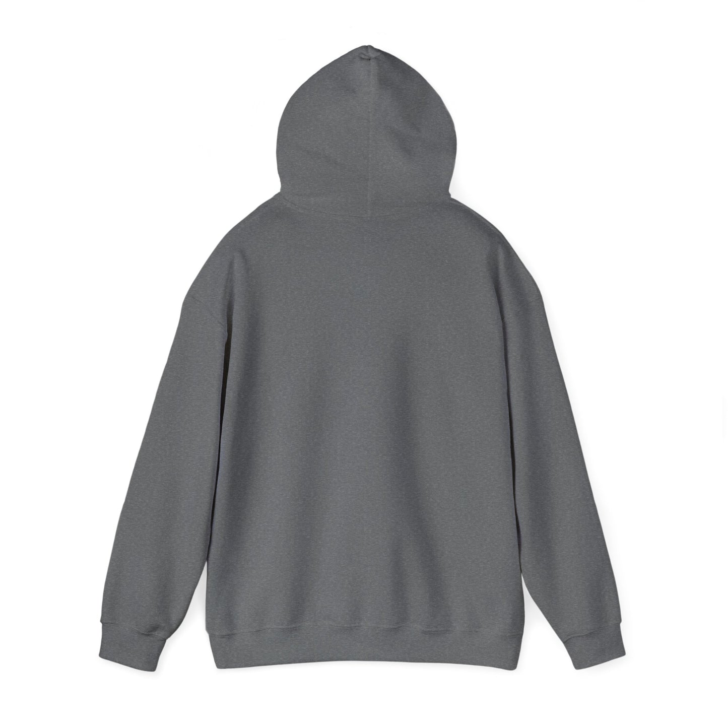 Soccer Humor Hoodie | Kick the Dang Ball Sweatshirt | Unisex Casual Wear for Sports Fans, Gifts for Soccer Lovers